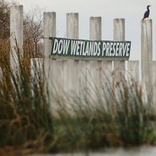 Dow Wetlands Preserve sign near posts