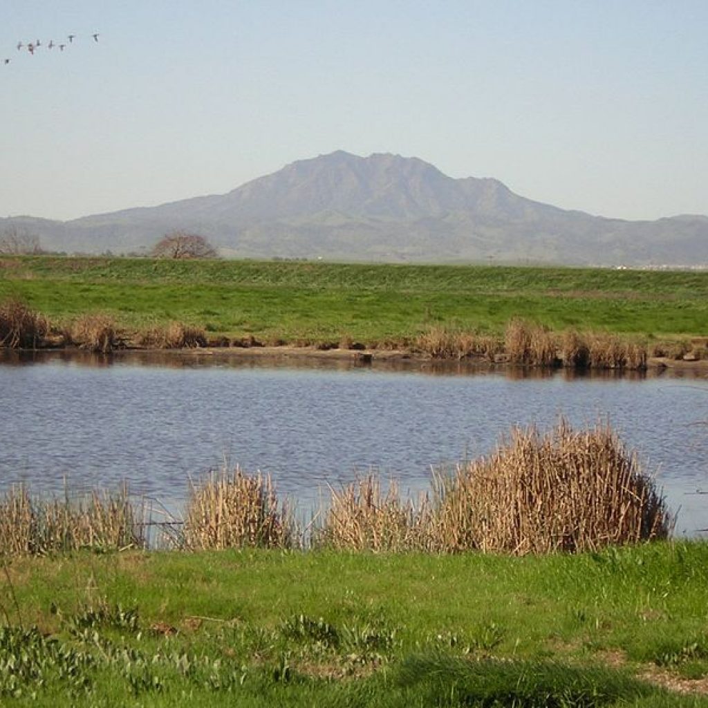 Green fields and mountains across the river at Delta Wetlands