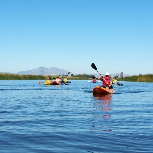 People kayaking in the Delta