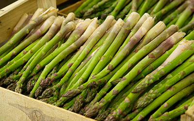 California Delta Asparagus at the San Joaquin Asparagus Festival