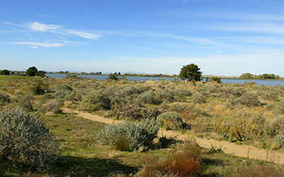 SAN FRANCISCO BAY NATIONAL WILDLIFE REFUGE