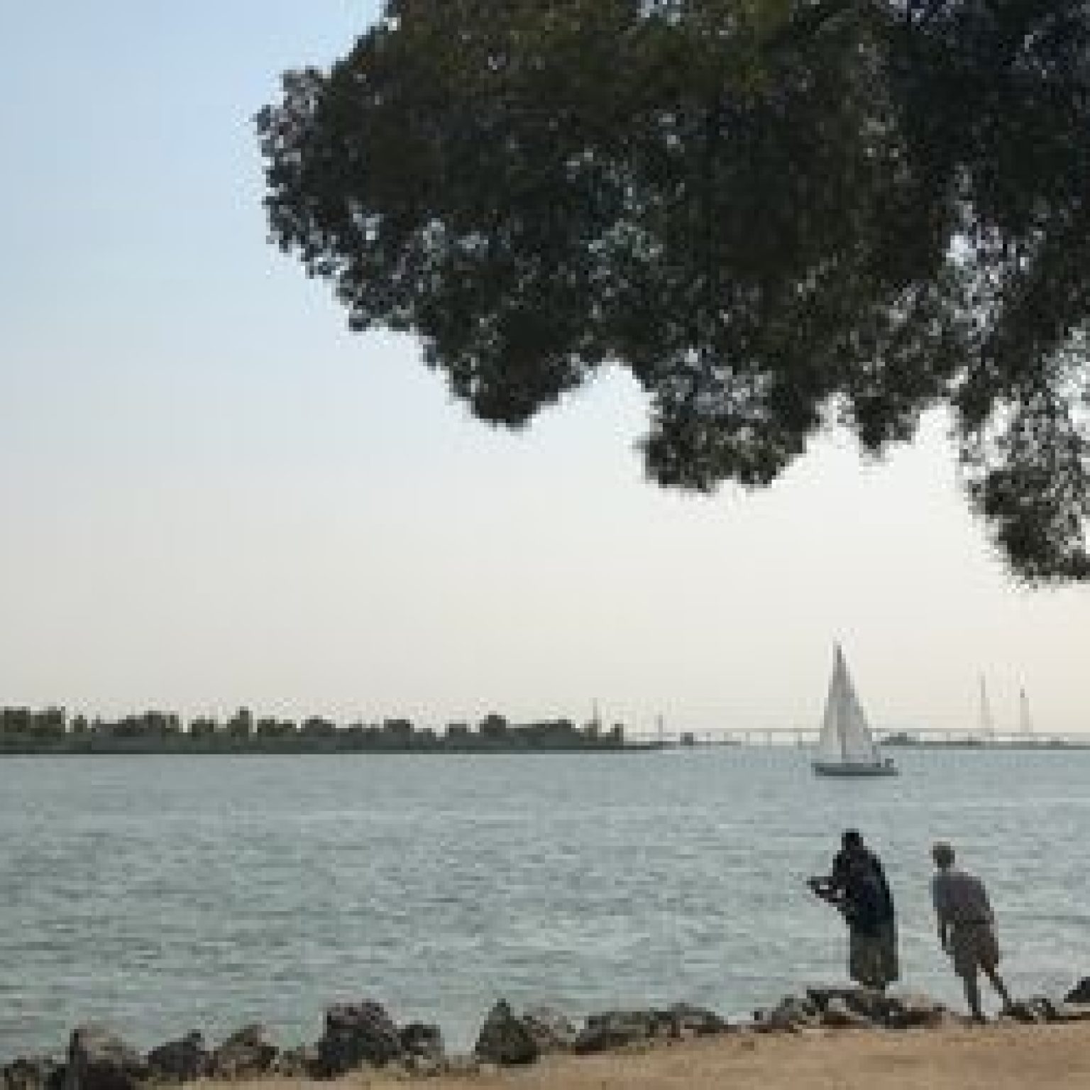 discovery bay yacht club boat parade 2023