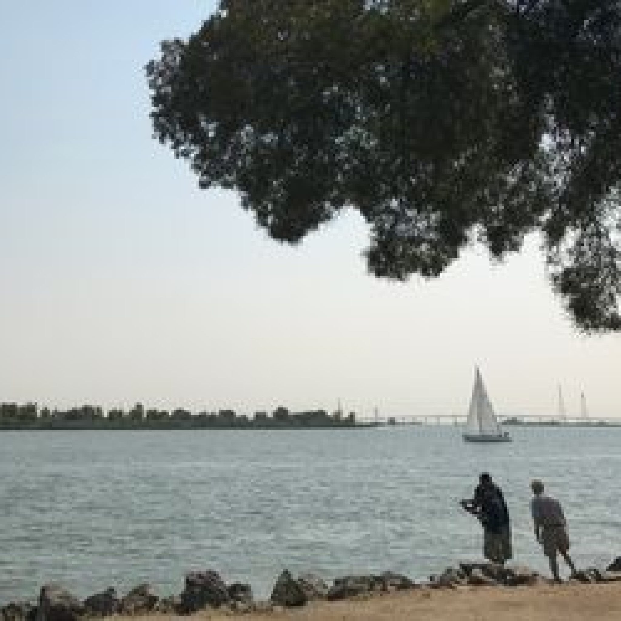 Discovery Bay Yacht Club Community Boat Parade Visit the California Delta