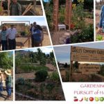 collage of community gardening workshop photos