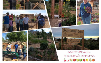 collage of community gardening workshop photos