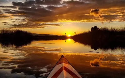 paddling in the sunset